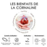 les bienfaits de la pierre cornaline