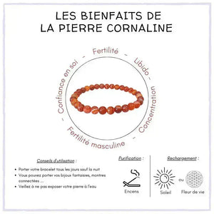 Les bienfaits du Bracelet Cornaline 6mm – Énergie, Confiance & Fertilité L' Atelier d'Eva