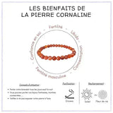 Les bienfaits du Bracelet Cornaline 6mm – Énergie, Confiance & Fertilité L' Atelier d'Eva