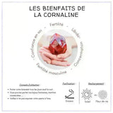 les bienfaits de la pierre cornaline