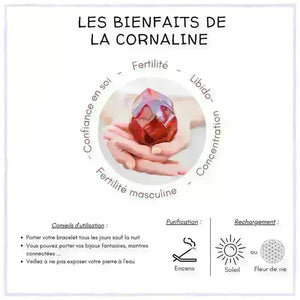 les bienfaits de la pierre cornaline