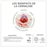 les bienfaits de la pierre cornaline